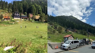 Yeni Şafak yazarı Arapların gitmesine üzüldü: Irkçılık kazandı, memleket kaybetti...