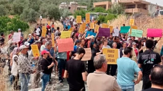 Antakya'da zeytinliğe yapılacak TOKİ konutuna yargıdan ilk durdurma kararı geldi