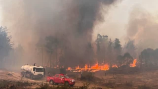 Aydın'daki yangına ilişkin gözaltına alınan üç kişi tutuklandı