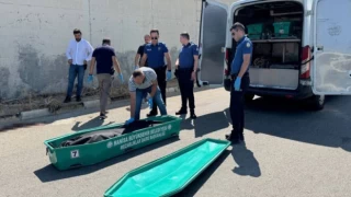 Manisa'da bir kişi, 'üvey kız kardeşini istismar ettiği' iddiasıyla babasını öldürdü