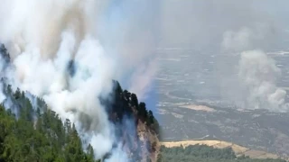 Muğla, Antalya ve İzmir'de orman yangını