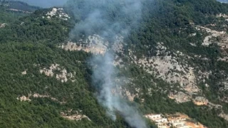 Alanya'da orman yangını