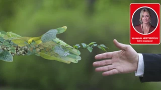 İklim dostu toplantılar