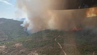 İzmir'de orman yangını: Havadan ve karadan müdahale sürüyor