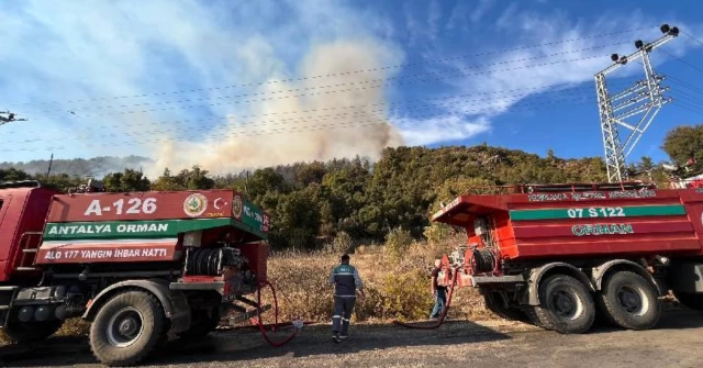 Antalya'da orman yangını