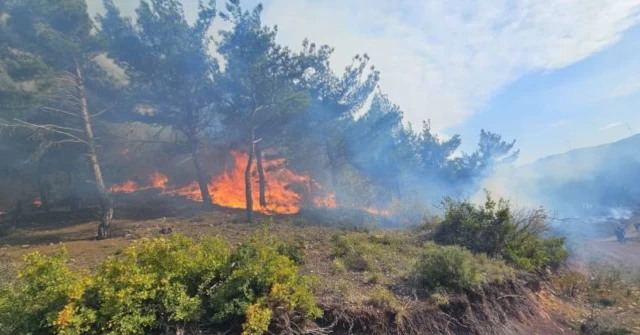 Hatay Arsuz'da orman yangını